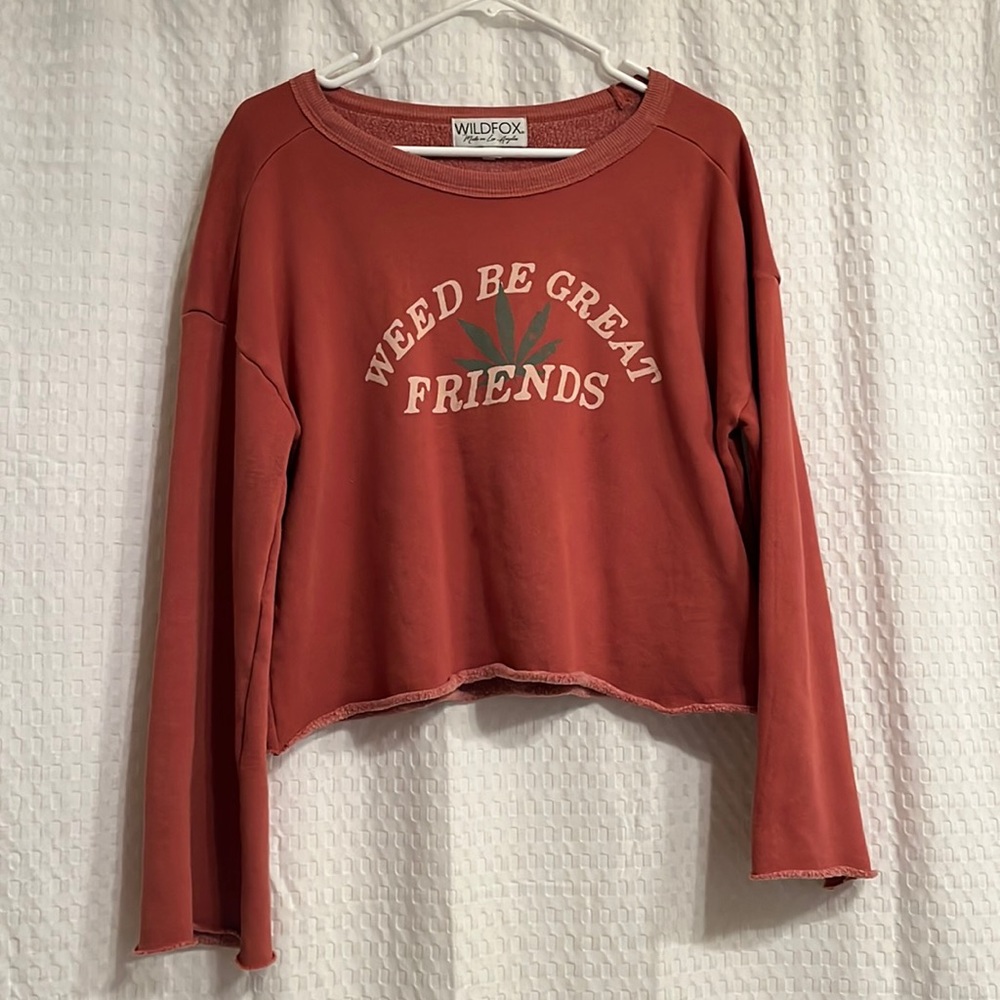 Wild fox cropped jumper